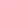 PF26312P PINK Self-Portrait 
