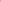 41621218TU05 OLEANDER Extreme Cashmere X 