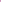 46721218TU01 OLEANDER Extreme Cashmere X 